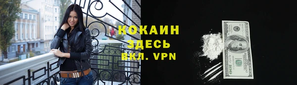 крисы Ельня