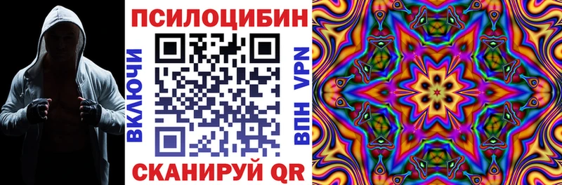 Галлюциногенные грибы Psilocybe цены Ивангород